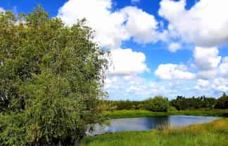 166 Top Road, Dairy Flat