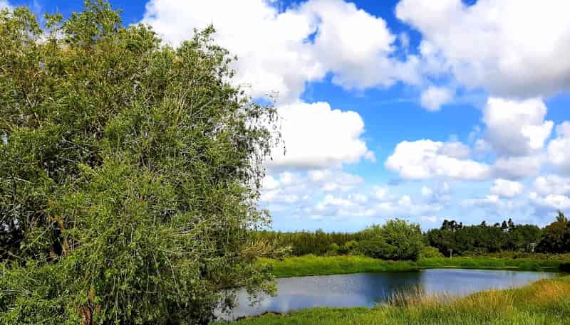 166 Top Road, Dairy Flat