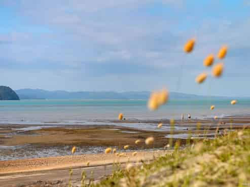 274 Orua Bay Road, Manukau Heads