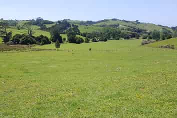 538 Matakana Valley Road, Matakana