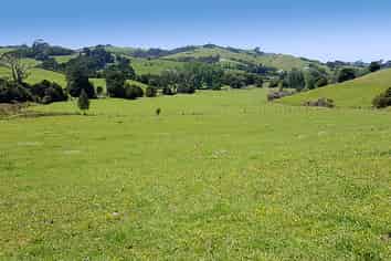 538 Matakana Valley Road, Matakana