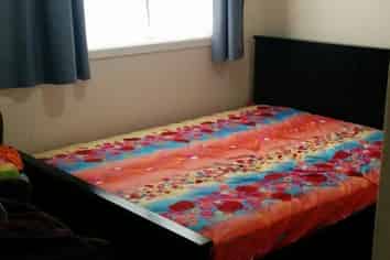 508 Adelaide Road, Berhampore