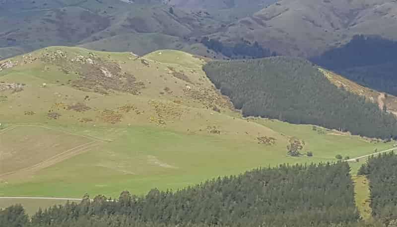  Barracks Road, Blenheim