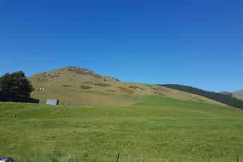  Barracks Road, Blenheim