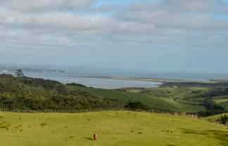 Auckland - Address withheld