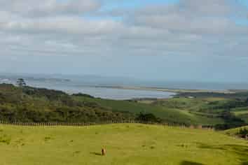 Auckland - Address withheld