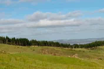 Auckland - Address withheld