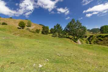 5298A State Highway 4, Taumarunui