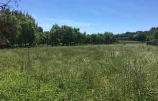 86 Parris Street, Waitara