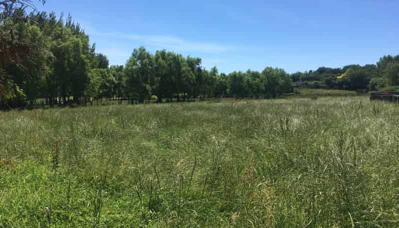 86 Parris Street, Waitara