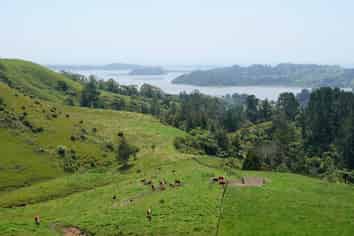 179 Rankin Road, Opotiki and Surrounds