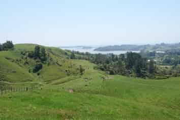 179 Rankin Road, Opotiki and Surrounds