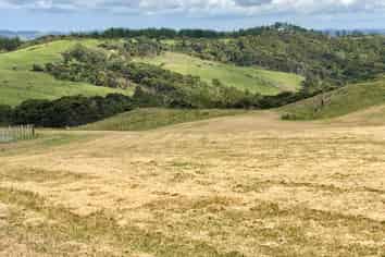 Auckland - Address withheld