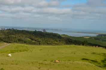 Auckland - Address withheld