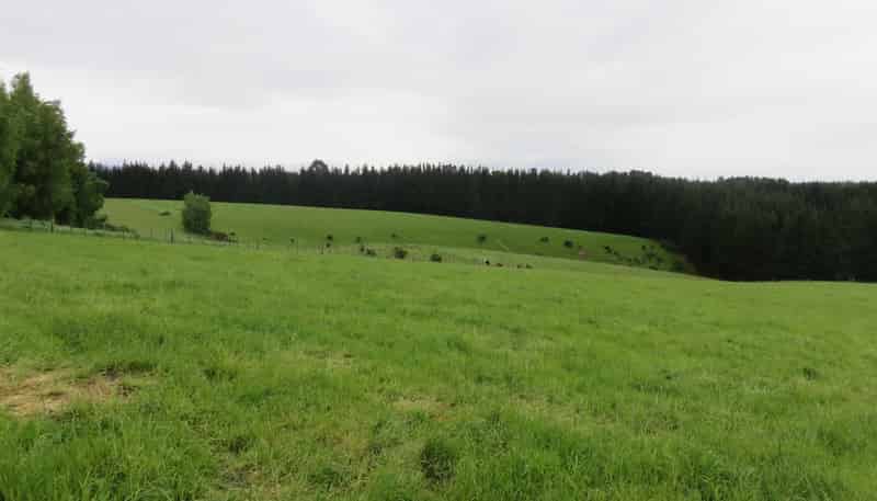 Lot 2 Greenvale Rd, Geraldine