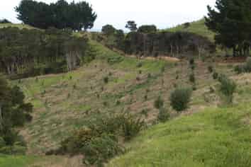 379A Cowes Bay Road, Cowes Bay