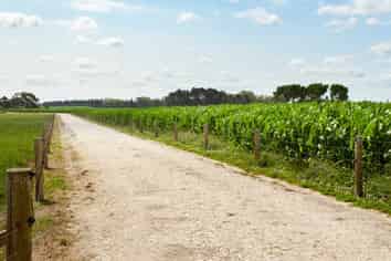 419 Taihoa South Road, Matamata