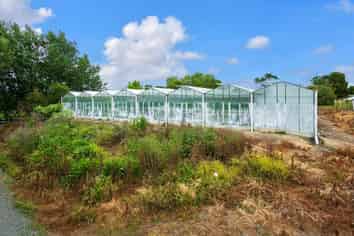 19 Kennedys Road, Whenuapai