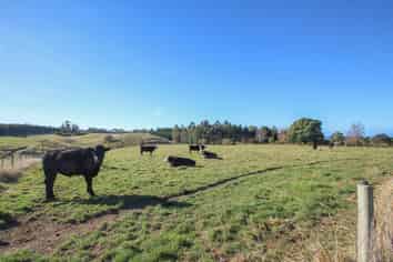 4/215 Macs Ridge Road, Oamaru