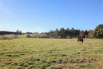 4/215 Macs Ridge Road, Oamaru