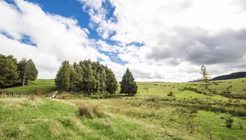 Lot 4/Kotare, Re Komokoriki Hill Road, Warkworth