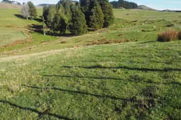 Lot 4/Kotare, Re Komokoriki Hill Road, Warkworth