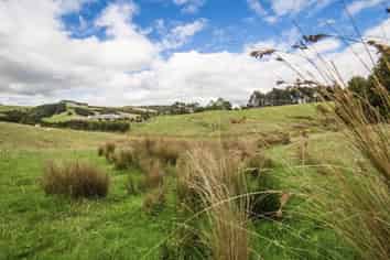 Lot 4/Kotare, Re Komokoriki Hill Road, Warkworth