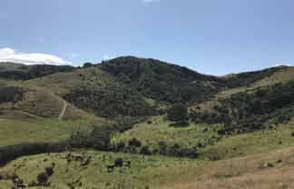 97 Bowen Road, Eketahuna