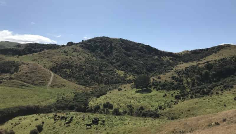 97 Bowen Road, Eketahuna