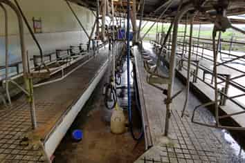 254 Somerville Road, Tirau