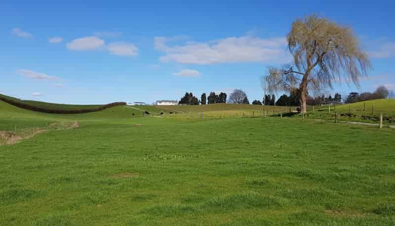254 Somerville Road, Tirau