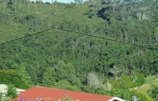 15 Richmond Road, Mangonui