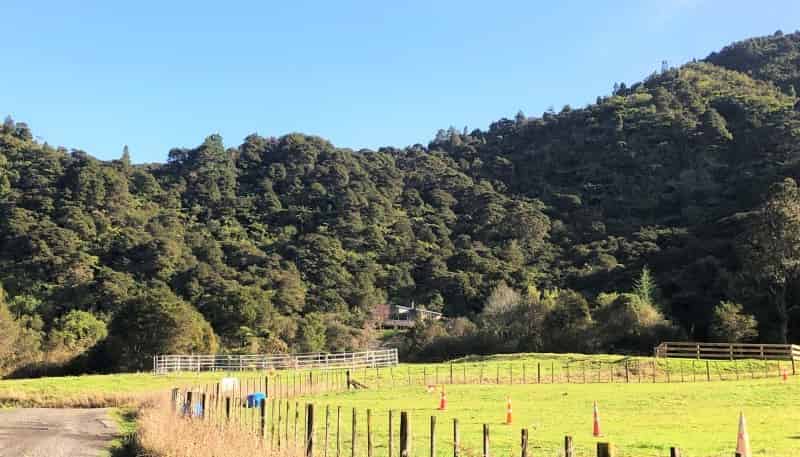 Lot 3, 6 Tapu Creek Farms, Tapu