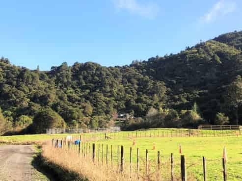 Lot 1, 6 Tapu Creek Farms, Tapu