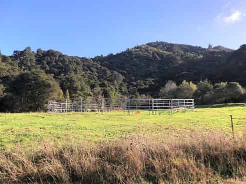 Lot 1, 6 Tapu Creek Farms, Tapu