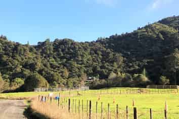 Lot 2, 6 Tapu Creek Farms, Tapu