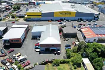 Large high profile strategic investment