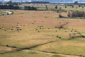 Development Opportunity