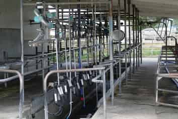 423 Greig Road, Whakatane Surrounds