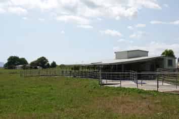 423 Greig Road, Whakatane Surrounds