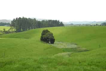 3198 State Highway 23, Raglan