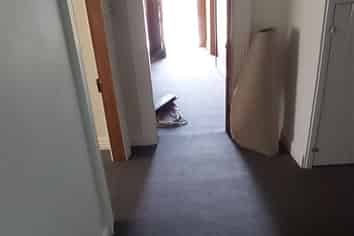 Quaint small office on Main rd. Kumeu