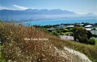 2 Lookers On Lane, Kaikoura