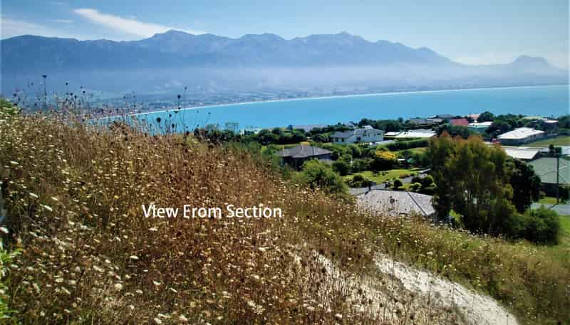 2 Lookers On Lane, Kaikoura