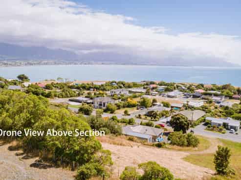 2 Lookers On Lane, Kaikoura