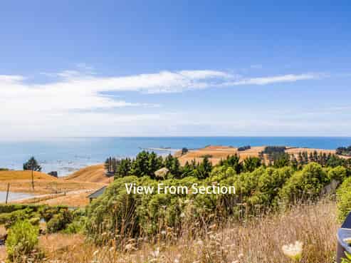 2 Lookers On Lane, Kaikoura