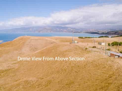 2 Lookers On Lane, Kaikoura