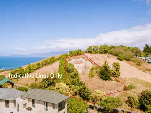 2 Lookers On Lane, Kaikoura