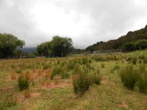 3 Clifford Street, Blackball