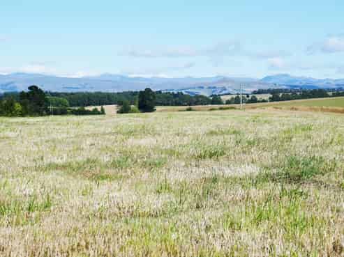  Alma-Maheno Road, Oamaru